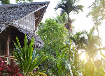 micronesia/yap/restaurant/oceania-hotel-restaurant-bar