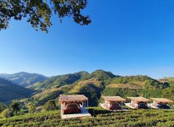 thailand/chiang-rai/restaurant/wang-put-tan-tea-plantation