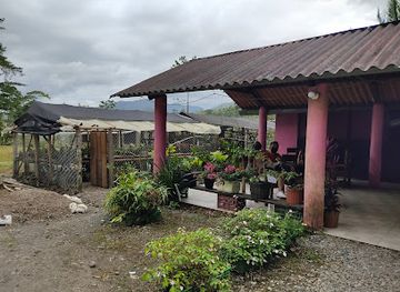 panama/ngabe-bugle-comarca/restaurant/cafe-el-viajero