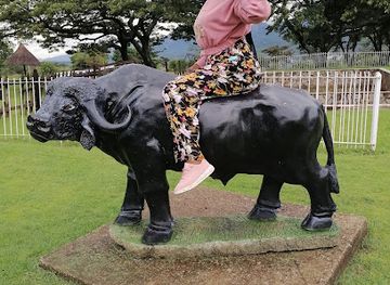 zimbabwe/nyanga/restaurant/anglers-rest-hotel