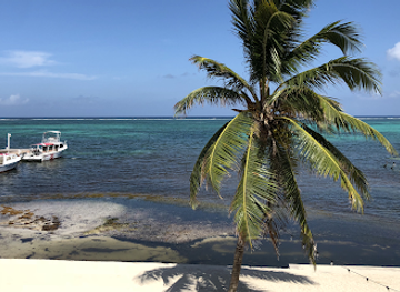 belize/coastal-plains/restaurant/blue-water-grill