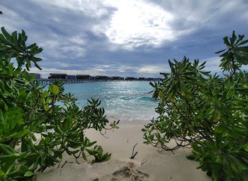 maldives/huvadhoo-atoll/restaurant/chef-s-garden-treehouse-at-the-park-hyatt-maldives