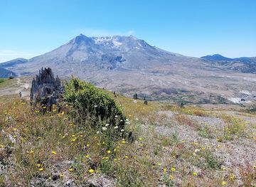 washington/mount-st-helens-national-volcanic-monument/restaurant/mount-st-helens-national-volcanic-monument