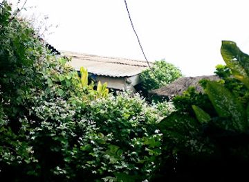 ghana/kakum-national-park/restaurant/tourispot-chop-bar