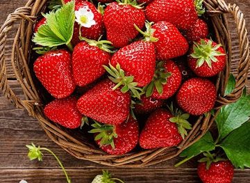 romania/bran-castle-area/restaurant/langos