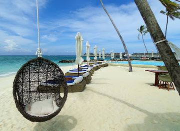 maldives/laamu-atoll/restaurant/pool-bar