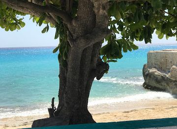 the-bahamas/inagua-islands/restaurant/cepigel