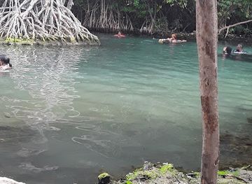 jamaica/middlesex-county/restaurant/scotty-s-bar-and-restaurant