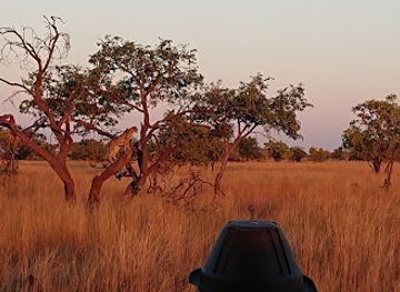 zambia/liuwa-plain/restaurant/liuwa-plain-national-park