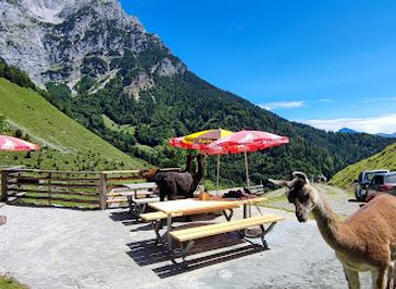 austria/kaiser-mountains/restaurant/kaiseralm-bewirtschaftet