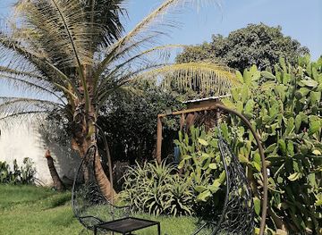 the-gambia/tendaba-camp/restaurant/ocean-lounge-bar-restaurant