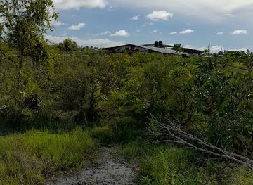 guyana/berbice-river/restaurant/uptown-grill