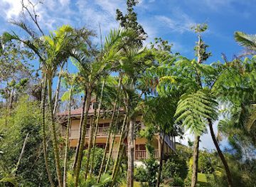 dominica/saint-luke/restaurant/zeb-zepis-bistro