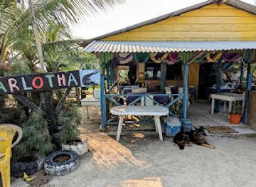 honduras/utila/restaurant/carlotta-s-on-the-beach