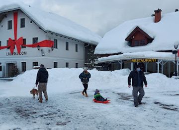 slovenia/kranjska-gora/restaurant/krgora