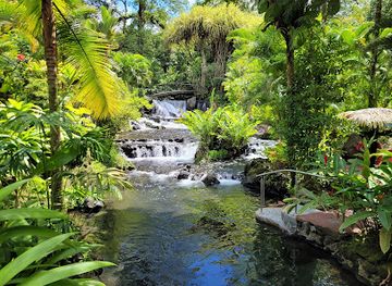 costa-rica/arenal-volcano-national-park/restaurant/tucanes-restaurant