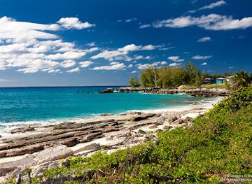 the-bahamas/san-salvador-island/restaurant/club-juice