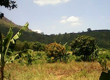 tanzania/morogoro/restaurant/dinning-hall