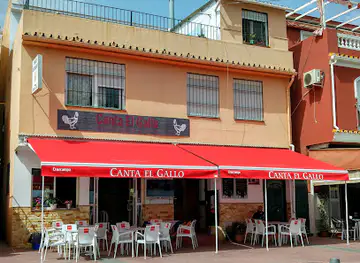 Canta el Gallo