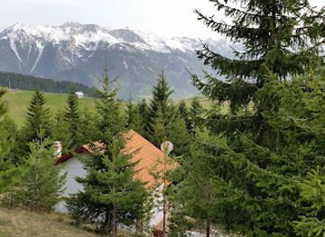 kosovo/peja-mountains/restaurant/flo-s-restaurant
