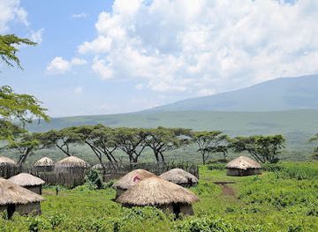 tanzania/mikumi-national-park/restaurant/ngijukaholidaysandsafaris