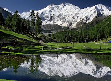 pakistan/nanga-parbat-base-camp/restaurant/shangrila-fairy-meadow-resort