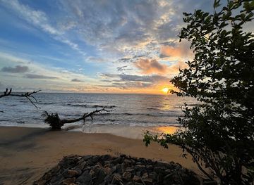 cameroon/kribi-beach/restaurant/cleo-beach