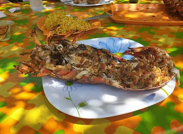 saint-vincent-and-the-grenadines/saint-patrick/restaurant/alphonso-s-lobster-bbq-tobago-cays