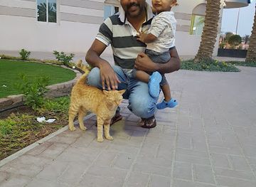 qatar/dukhan-beach/restaurant/jawahar-palace-restaurant