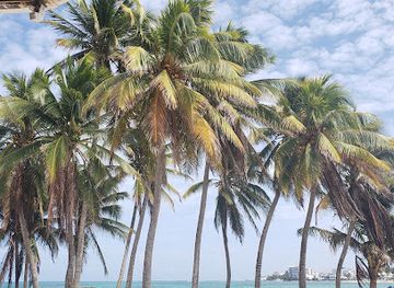 colombia/san-andres-island/restaurant/fisherman-place
