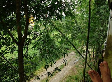 india/arunachal-pradesh/restaurant/chinese-and-indian-restaurant