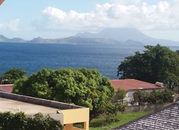 saint-kitts-and-nevis/saint-mary-cayon-parish/restaurant/serendipity-restaurant