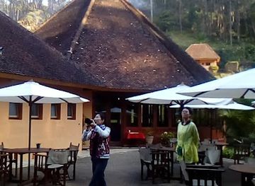madagascar/andasibe/restaurant/andasibe-mantadia-national-park