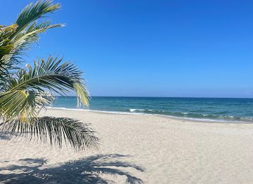 honduras/tela/restaurant/restaurante-los-coquitos