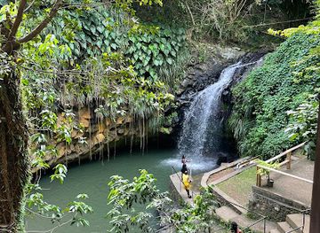 grenada/annandale-falls/restaurant/wild-orchid
