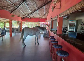 La Terrasse d'Afrique