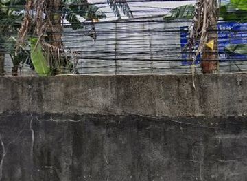 philippines/mt-mayon/restaurant/daraga