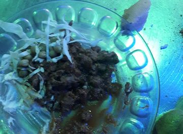 chad/n-djamena/restaurant/restaurant-assalama