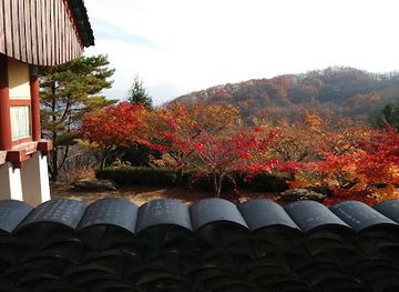 south-korea/north-chungcheong-province/restaurant/san-ul