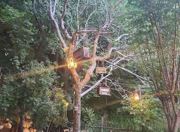 lebanon/hasbaya/restaurant/abwab-resto-cafe