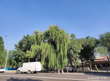 uzbekistan/angren/restaurant/marhamat-milliy-taomlar