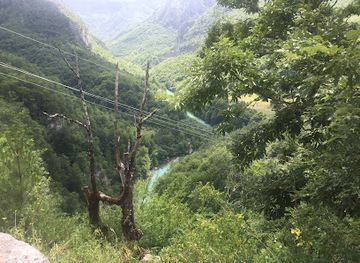 montenegro/tara-river-valley/restaurant/izvor