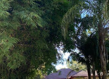 zambia/kalambo-falls-area/restaurant/waterfalls-hotel