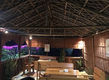 nepal/mechi-zone/restaurant/absolute-restro-bar-and-grill
