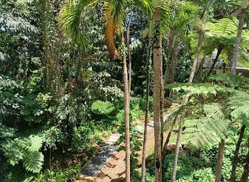 puerto-rico/yunque-national-forest/restaurant/the-portal-rainforest-cafe