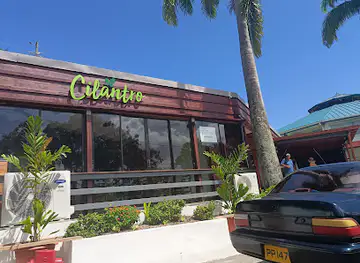 Cilantro