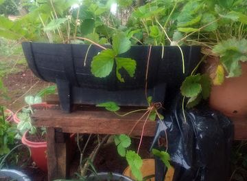 cambodia/ratanakiri/restaurant/chhay-leang-ratanak-restaurant