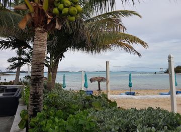 the-bahamas/exuma-cays-land-and-sea-park/restaurant/splash-beach-bar