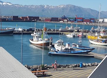 iceland/east-fjords/restaurant/naustio