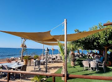 cyprus/latchi-beach/restaurant/yialos-beach-grill-house